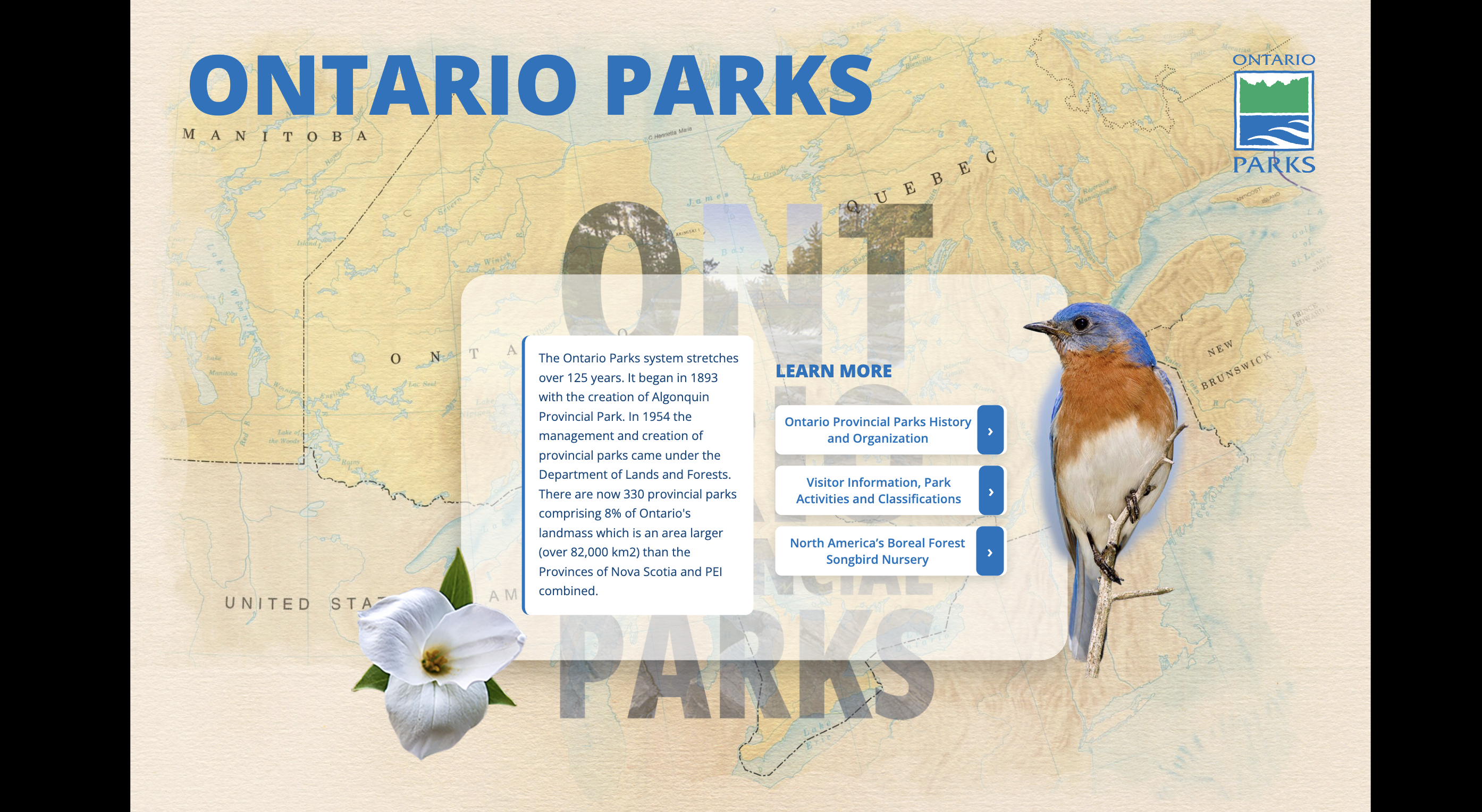 Research and planning stage