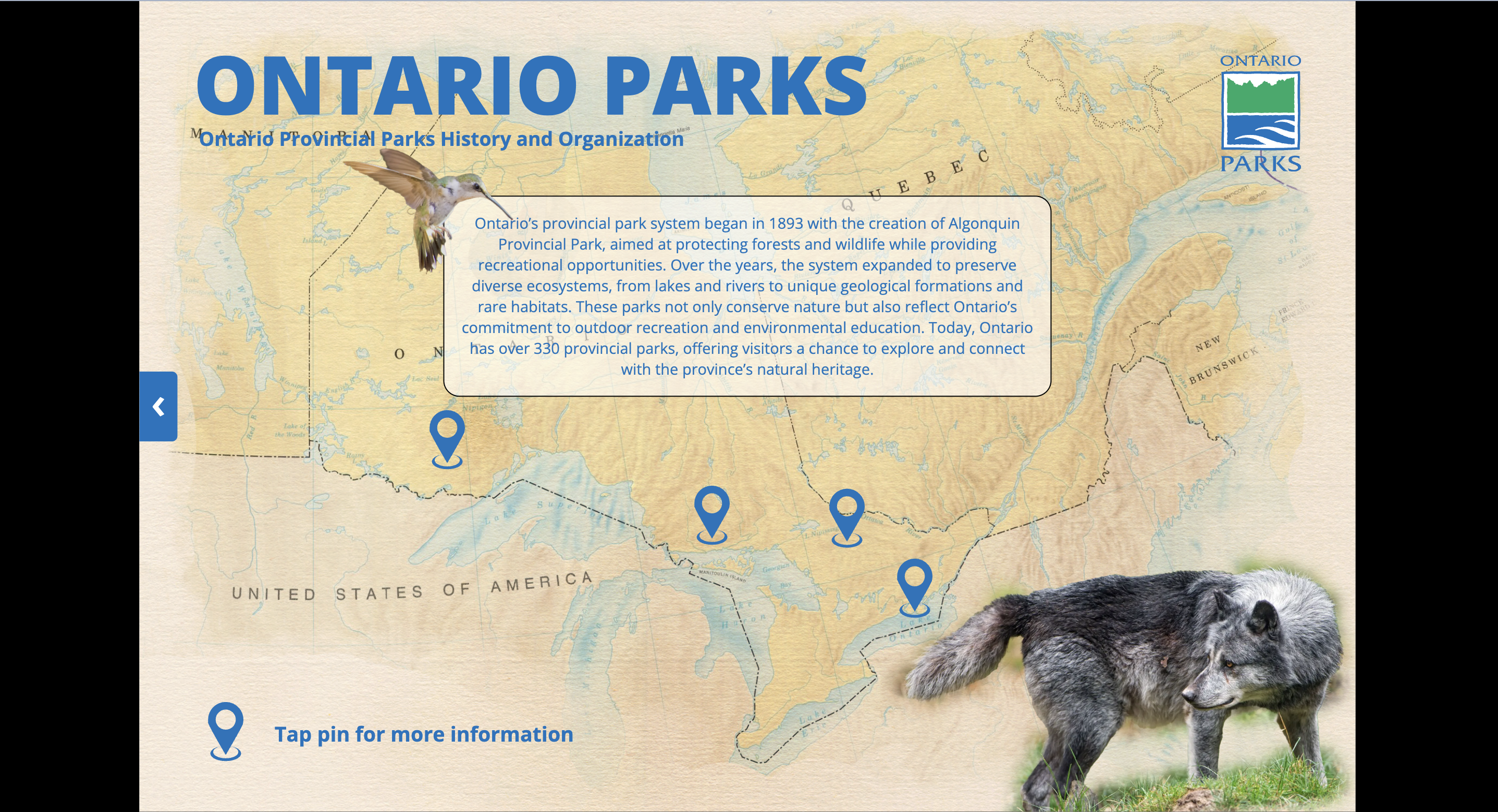 Wireframes and layout design