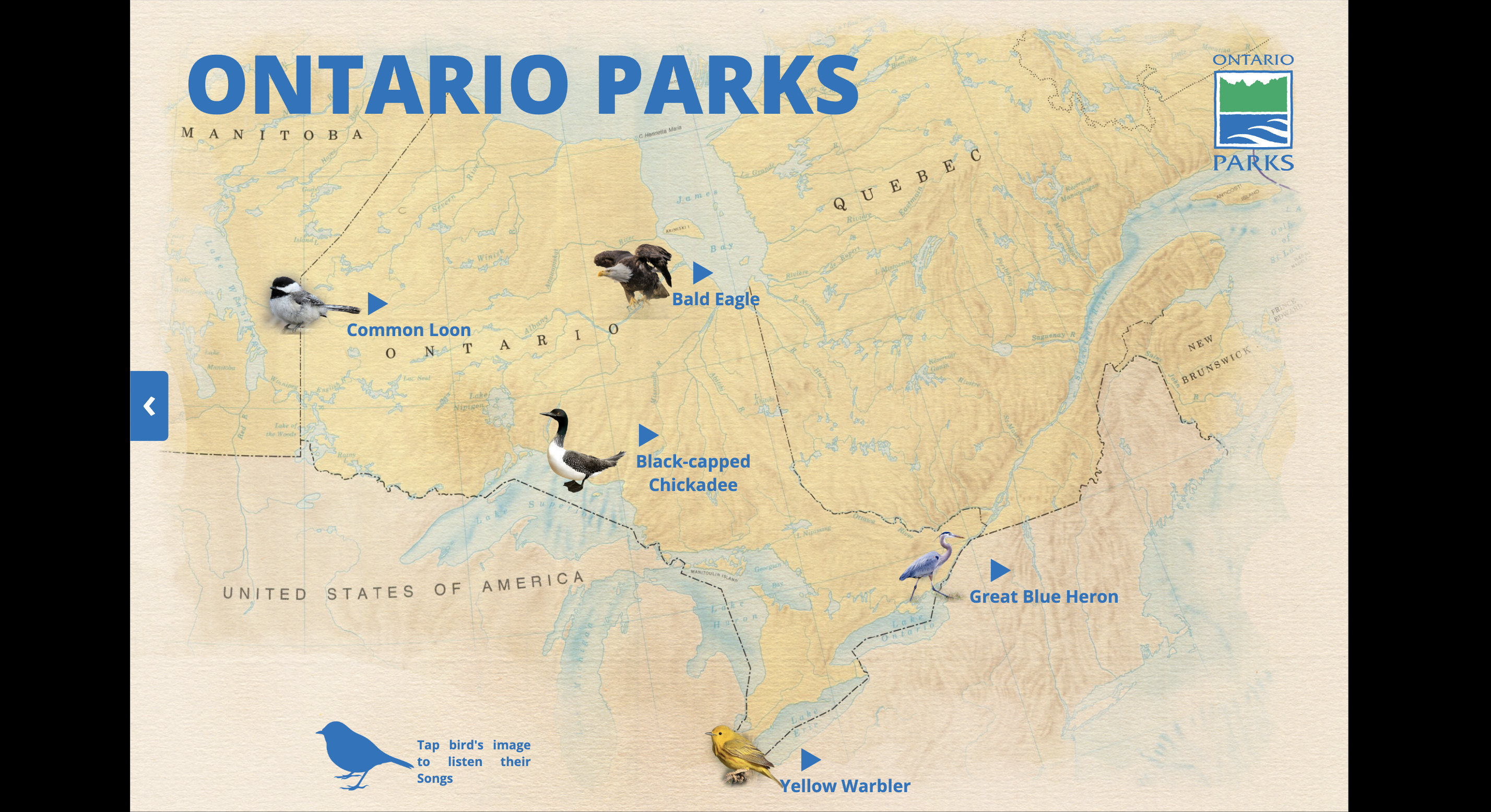 Project Overview Image